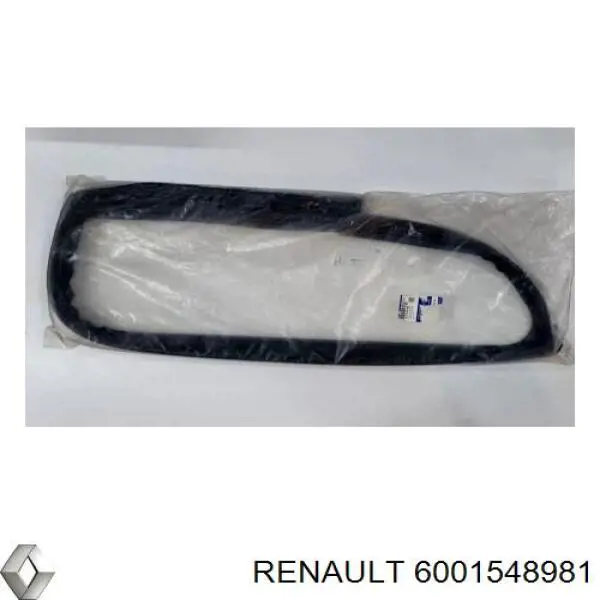 6001547011 Renault (RVI) guia de vidro de quadro da porta traseira direita