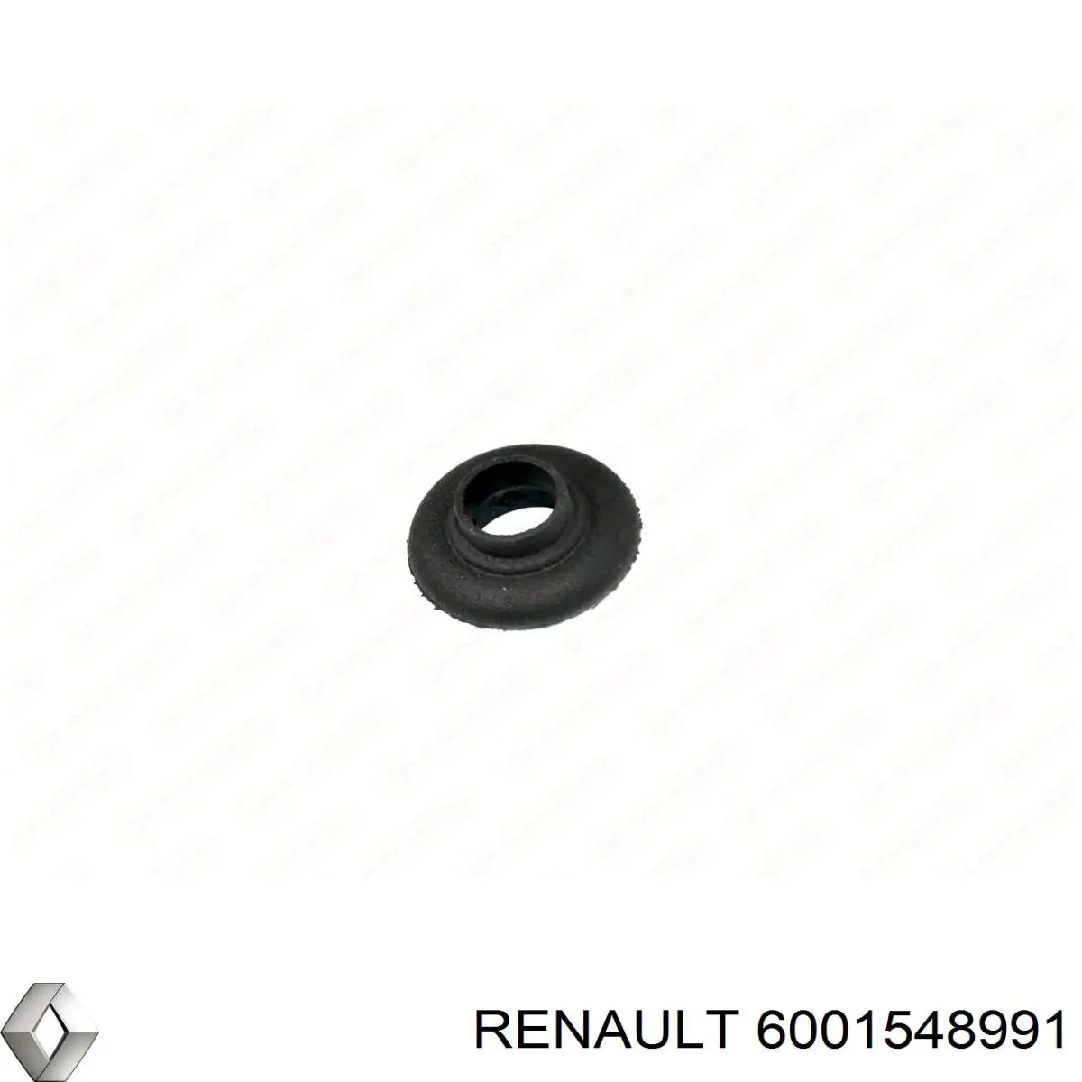 6001548991 Renault (RVI) 