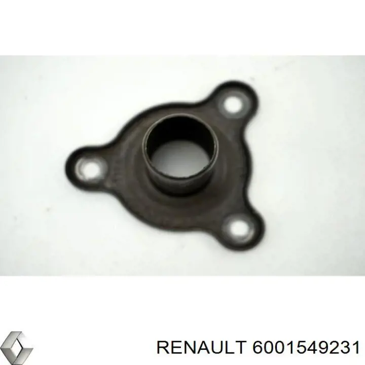  6001549231 Renault (RVI)