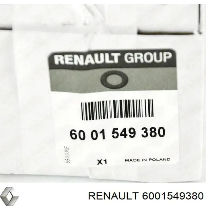 Заглушка рельсы (рейлинга) багажника крыши задняя левая 6001549380 Renault (RVI)