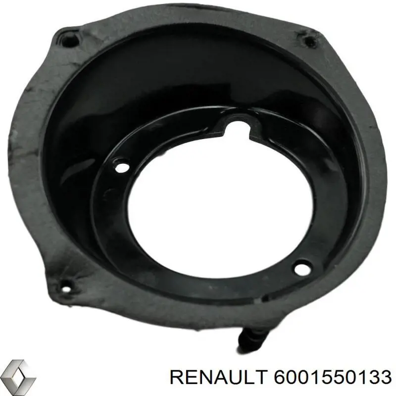 6001550133 Renault (RVI) 