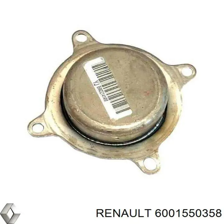6001550358 Renault (RVI) mangueira de aparelho de ar condicionado, desde o secador até o vaporizador