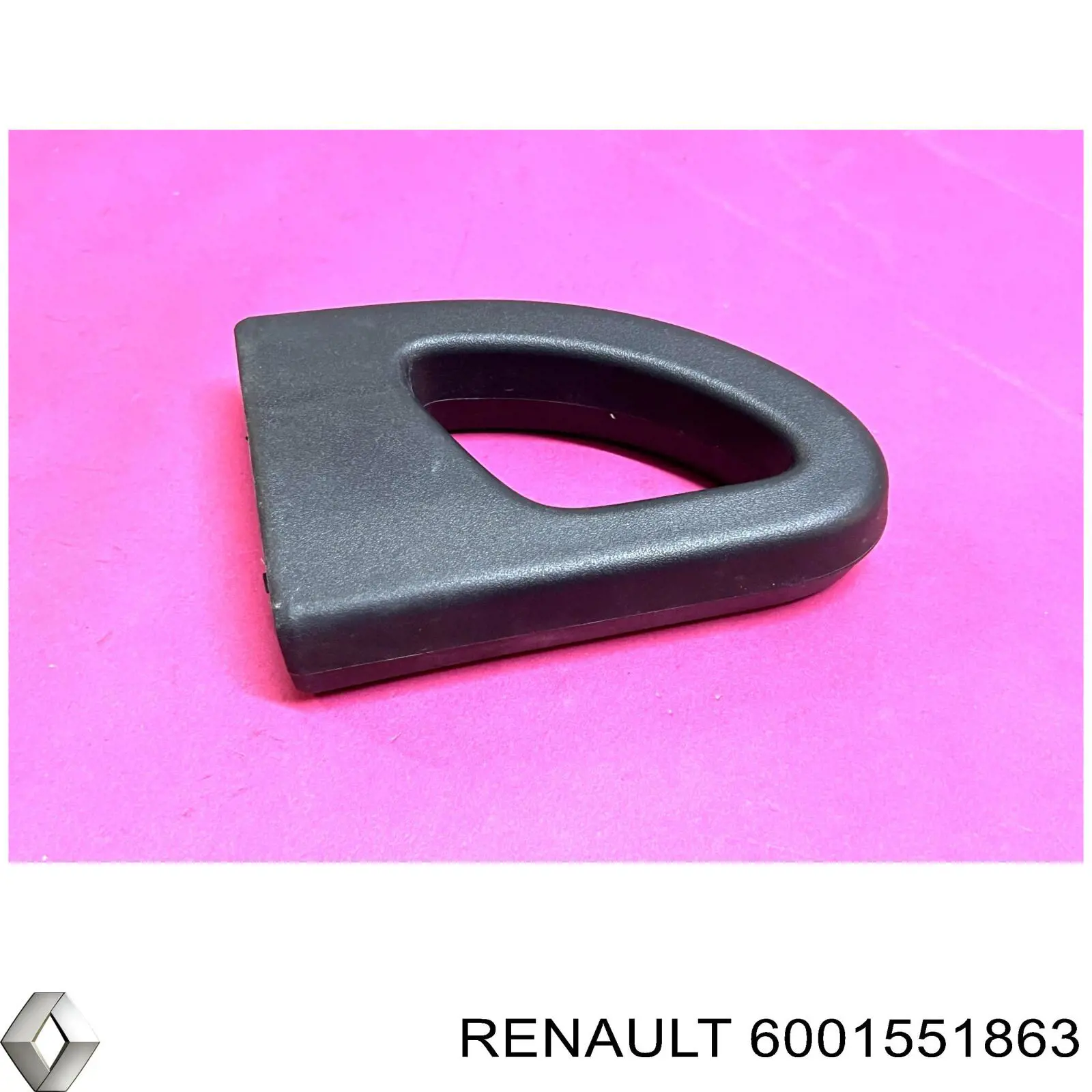 6001551863 Renault (RVI) 