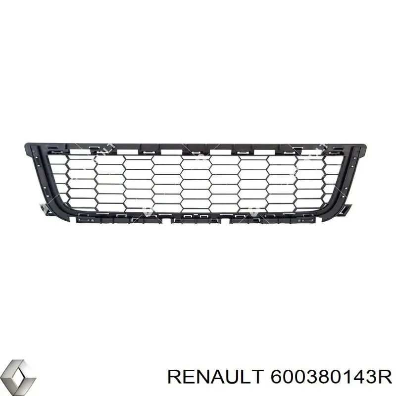  600380143R Renault (RVI)