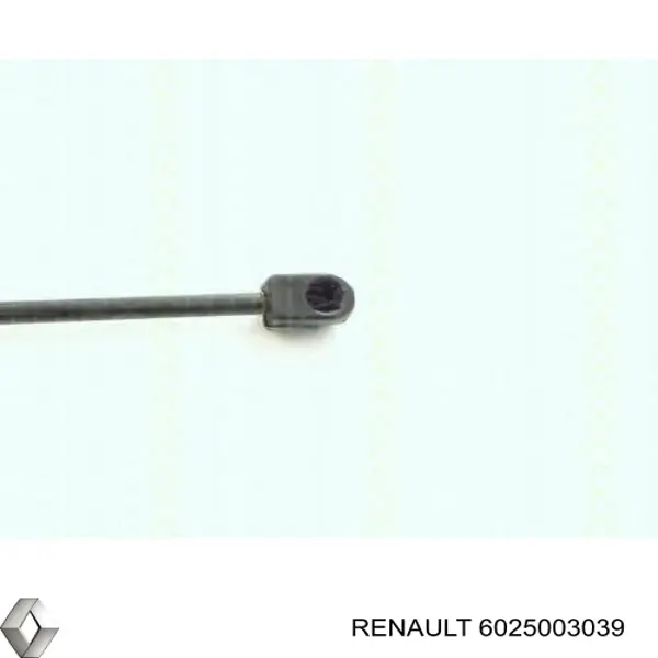 6025003039 Renault (RVI) 