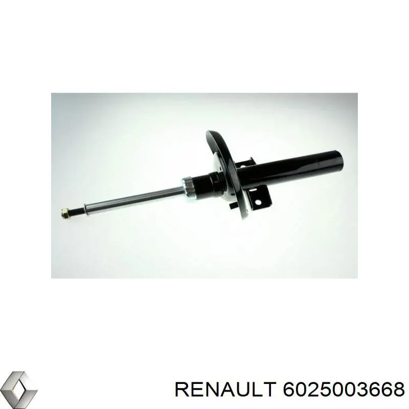 Амортизатор передний 6025003668 Renault (RVI)