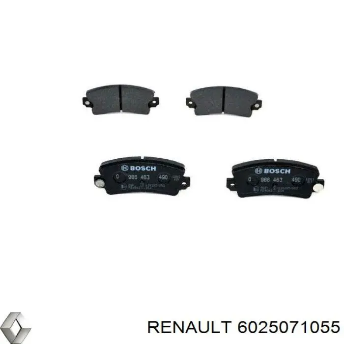 6025071055 Renault (RVI) задние тормозные колодки