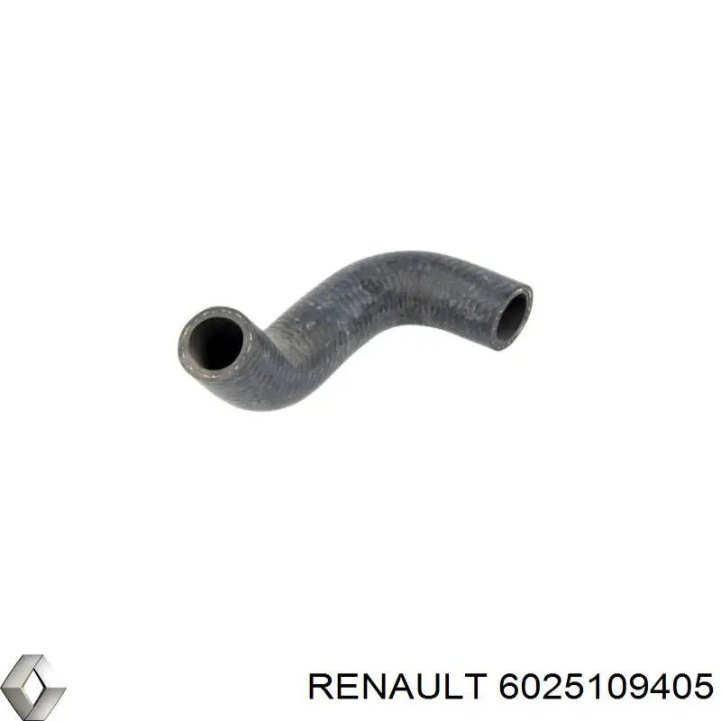  6025109405 Renault (RVI)