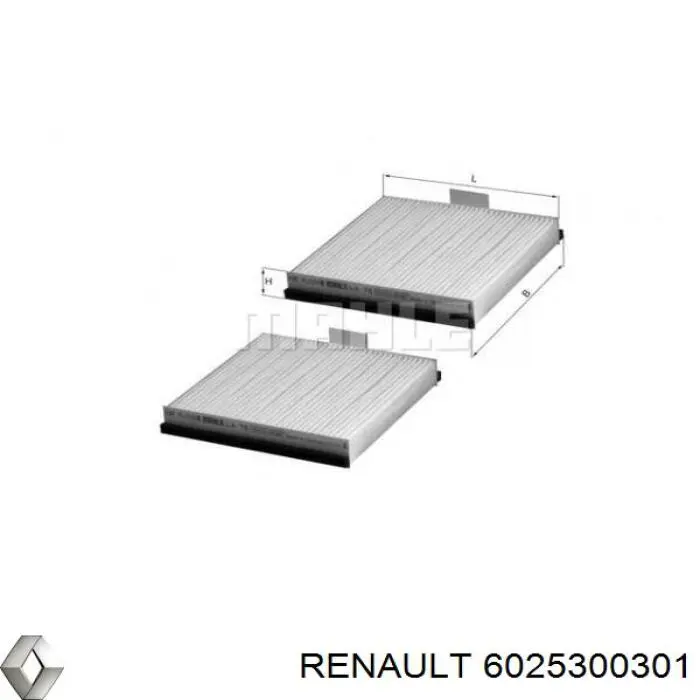 Фильтр салона 6025300301 Renault (RVI)