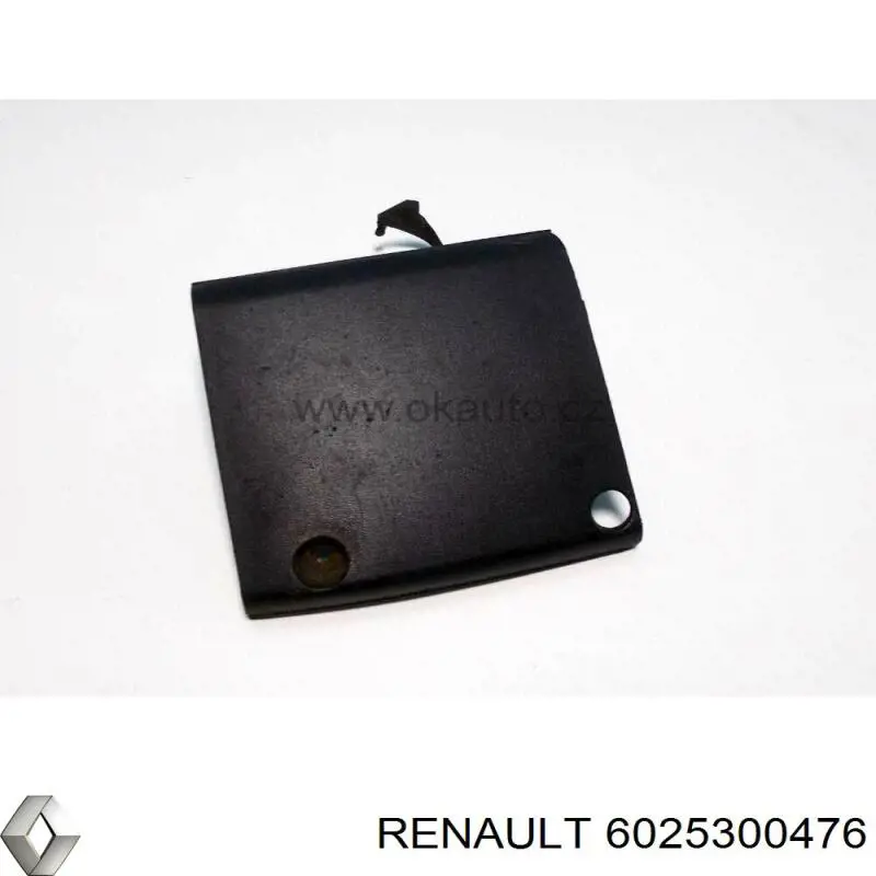  6025300476 Renault (RVI)