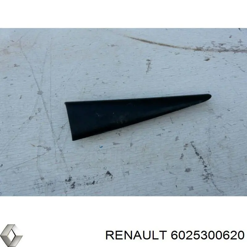  6025300620 Renault (RVI)