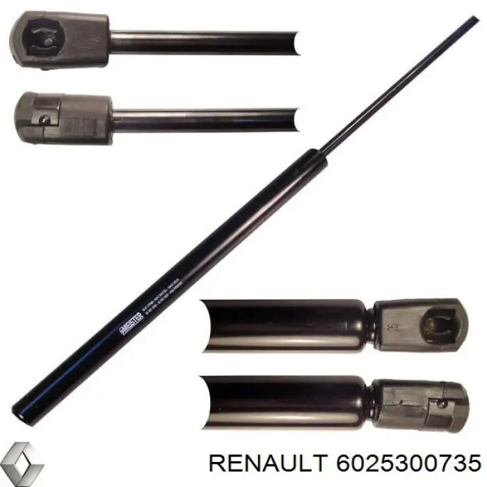 Амортизатор багажника 6025300735 Renault (RVI)