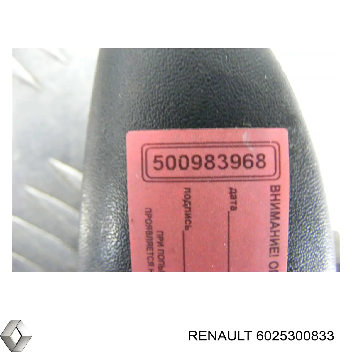 6025300833 Renault (RVI) maçaneta externa esquerda da porta traseira