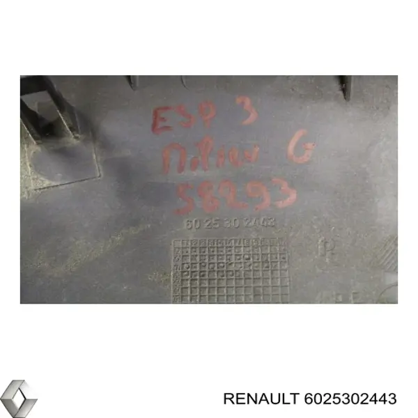  6025302443 Renault (RVI)