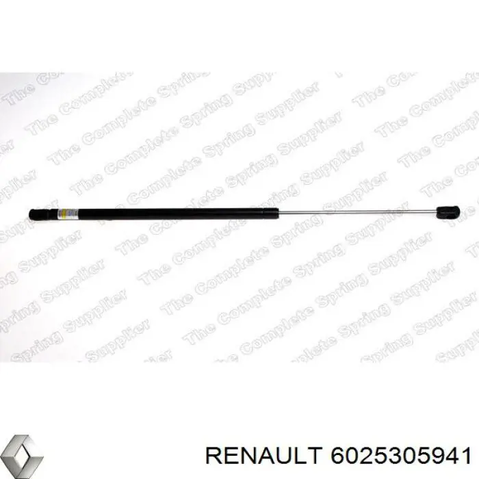 6025305941 Renault (RVI) amortecedor de tampa de porta-malas (de 3ª/5ª porta traseira)