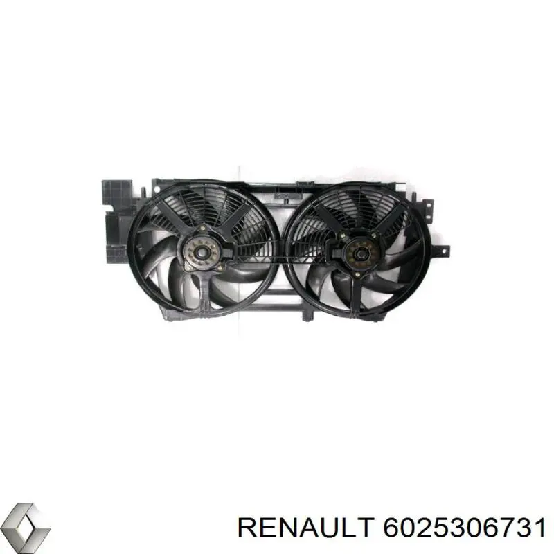  6025306731 Renault (RVI)