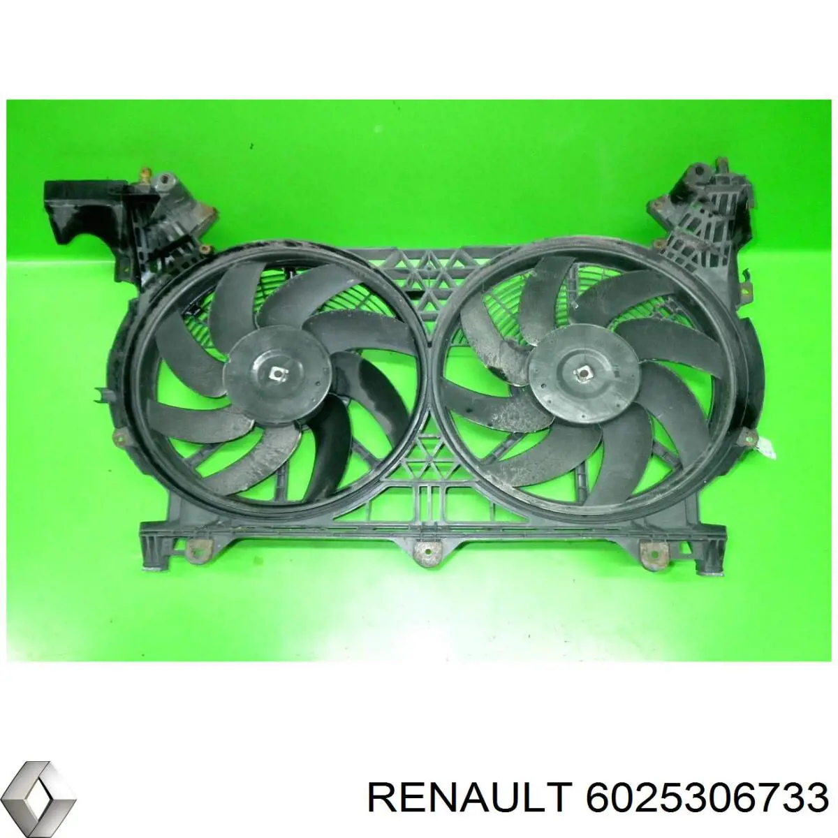  6025306733 Renault (RVI)