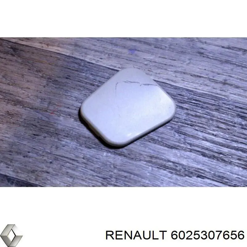 6025307656 Renault (RVI) 
