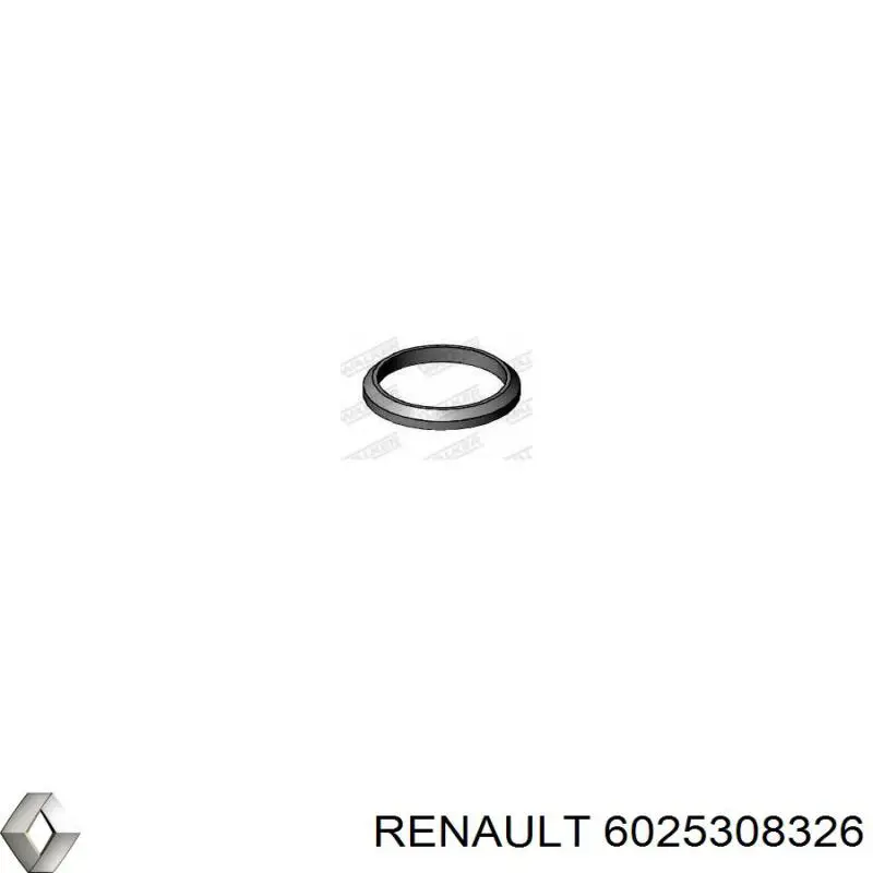 Кольцо приемной трубы глушителя 6025308326 Renault (RVI)