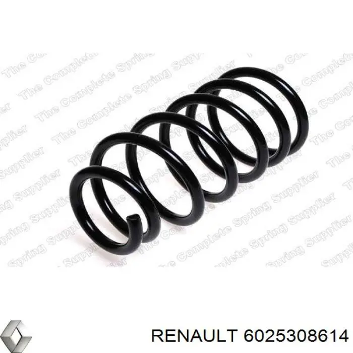  6025308614 Renault (RVI)