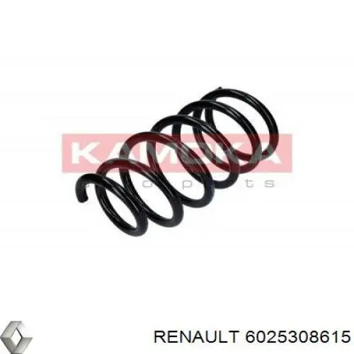 Задняя пружина 6025308615 Renault (RVI)