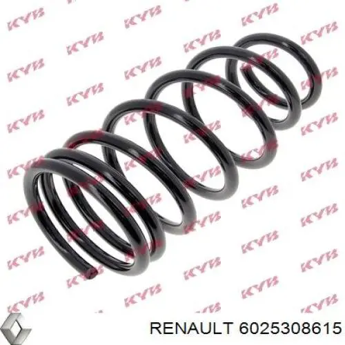 Пружина задняя Renault (RVI) 6025308615