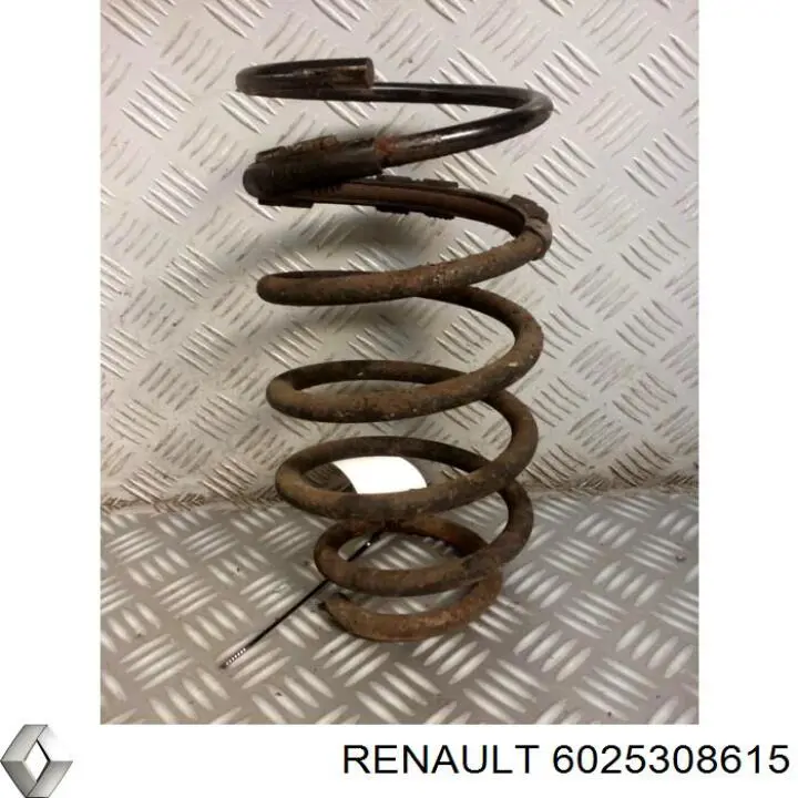 Задняя пружина 6025308615 Renault (RVI)