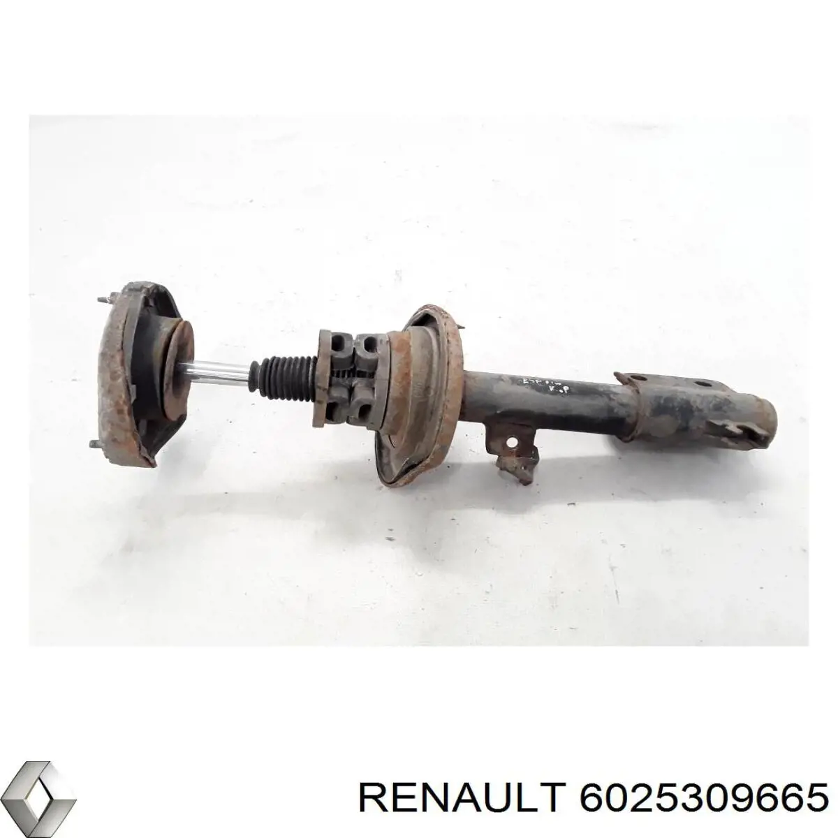Стойка амортизатора передняя Renault (RVI) 6025309665 цена, от 51.10 USD