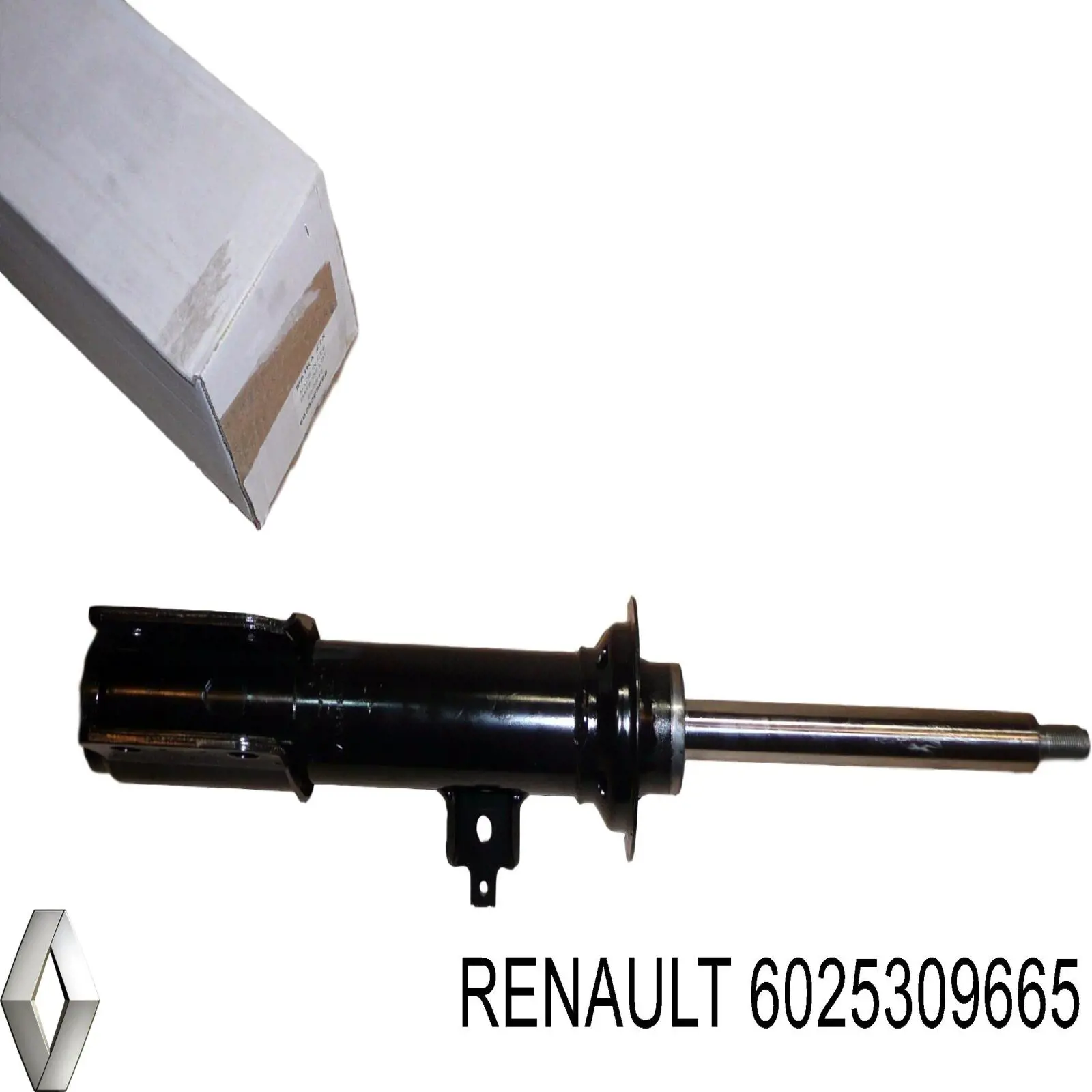 Амортизатор передний 6025309665 Renault (RVI)