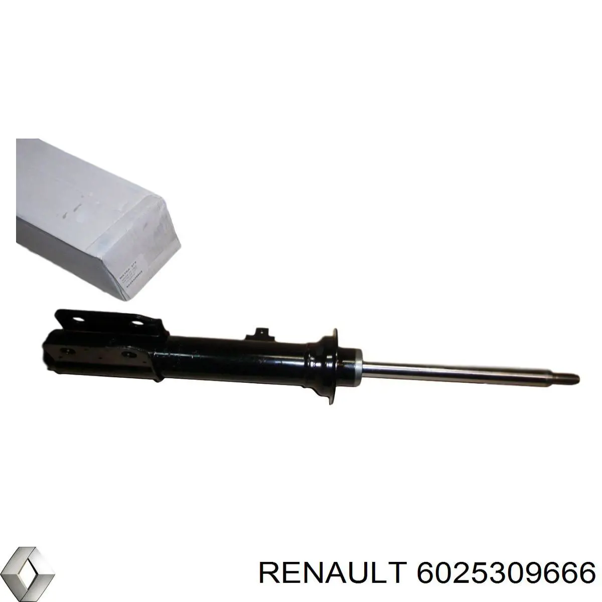 Амортизатор передний 6025309666 Renault (RVI)