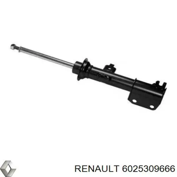 Амортизаторы передние Renault (RVI) 6025309666
