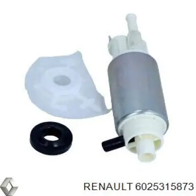 Módulo alimentación de combustible 6025315873 Renault (RVI)