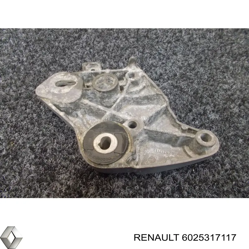 6025317117 Renault (RVI) 