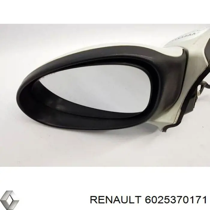 Левое боковое зеркало 6025370171 Renault (RVI)