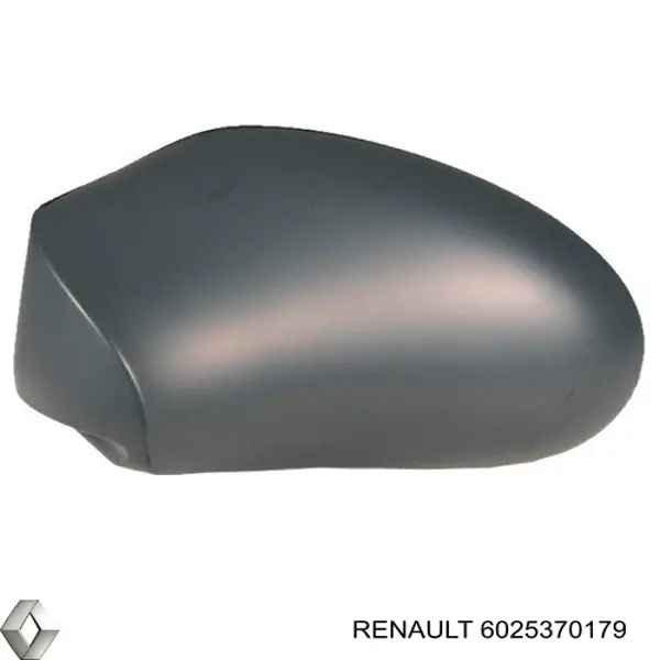 Накладка (крышка) зеркала заднего вида левая 6025370179 Renault (RVI)