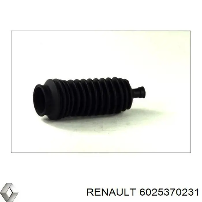 6025370231 Renault (RVI)