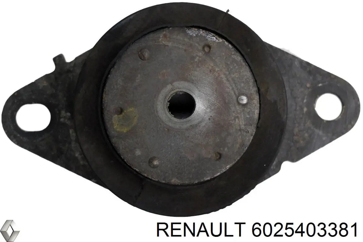  6025403381 Renault (RVI)