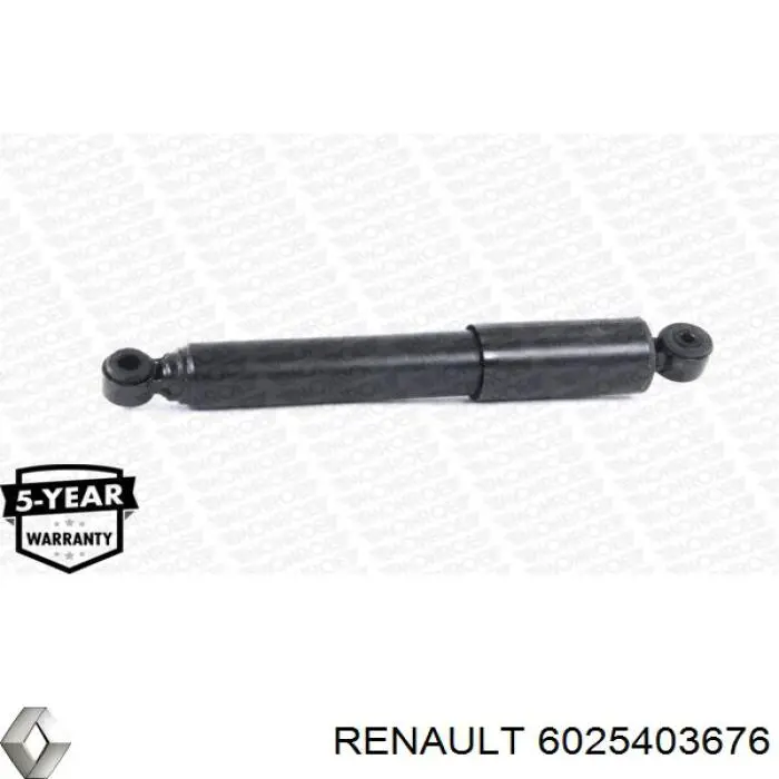 Амортизатор задний 6025403676 Renault (RVI)