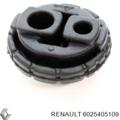  6025405109 Renault (RVI)