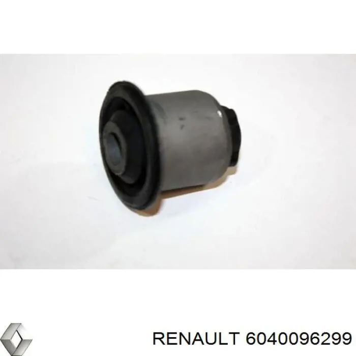 Сайлентблок переднего рычага 6040096299 Renault (RVI)