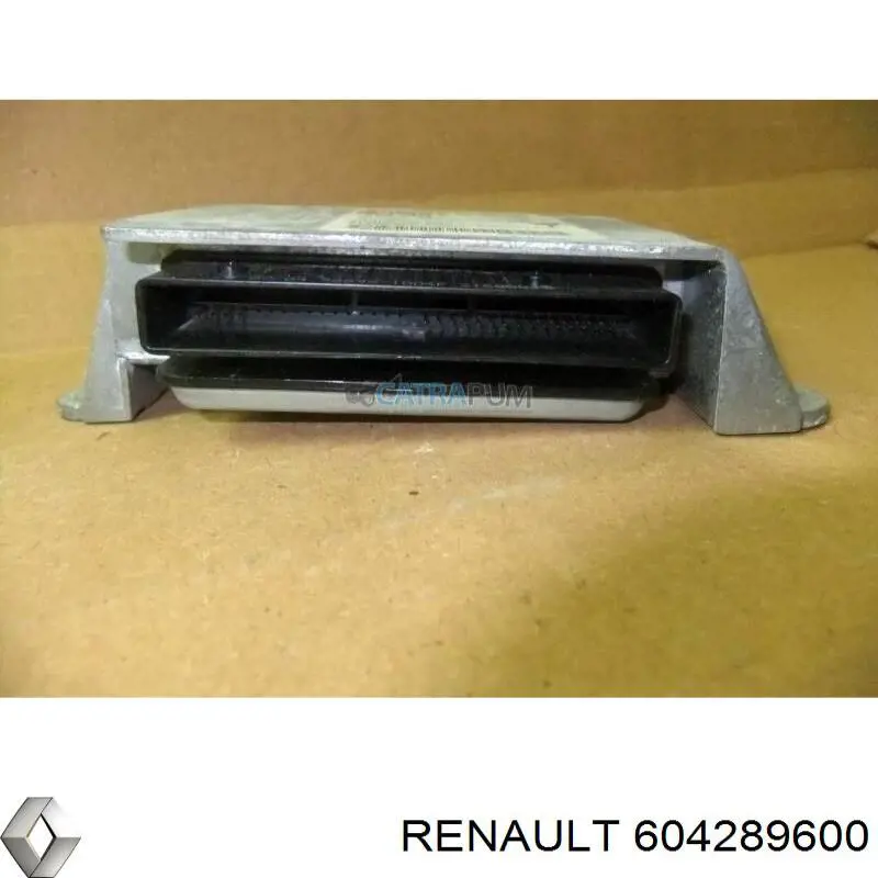 604289600 Renault (RVI) 