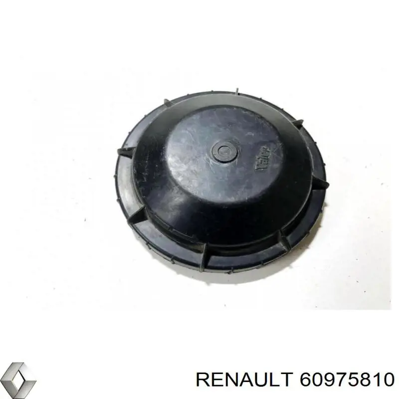  60975810 Renault (RVI)
