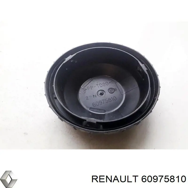 60975810 Renault (RVI) 