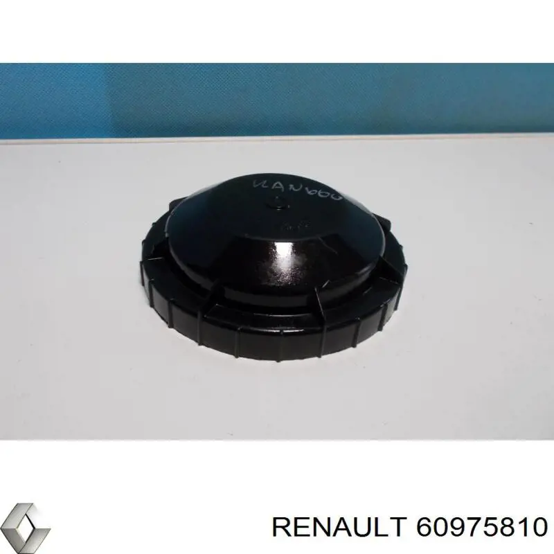  Renault (RVI) 60975810 цена, от 5.64 USD