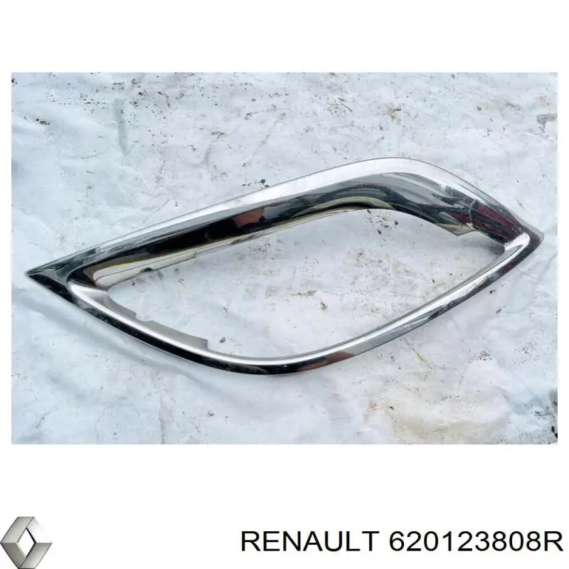 Купить 620123808R Renault (RVI) 