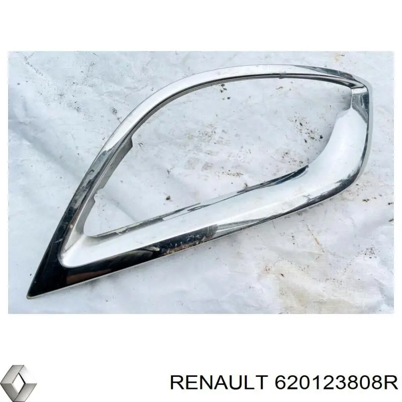  620123808R Renault (RVI)