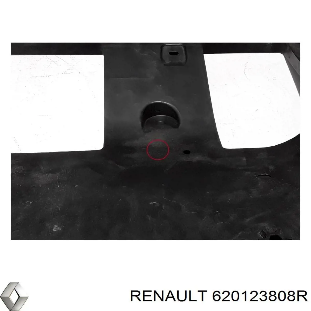 620123808R Renault (RVI) 