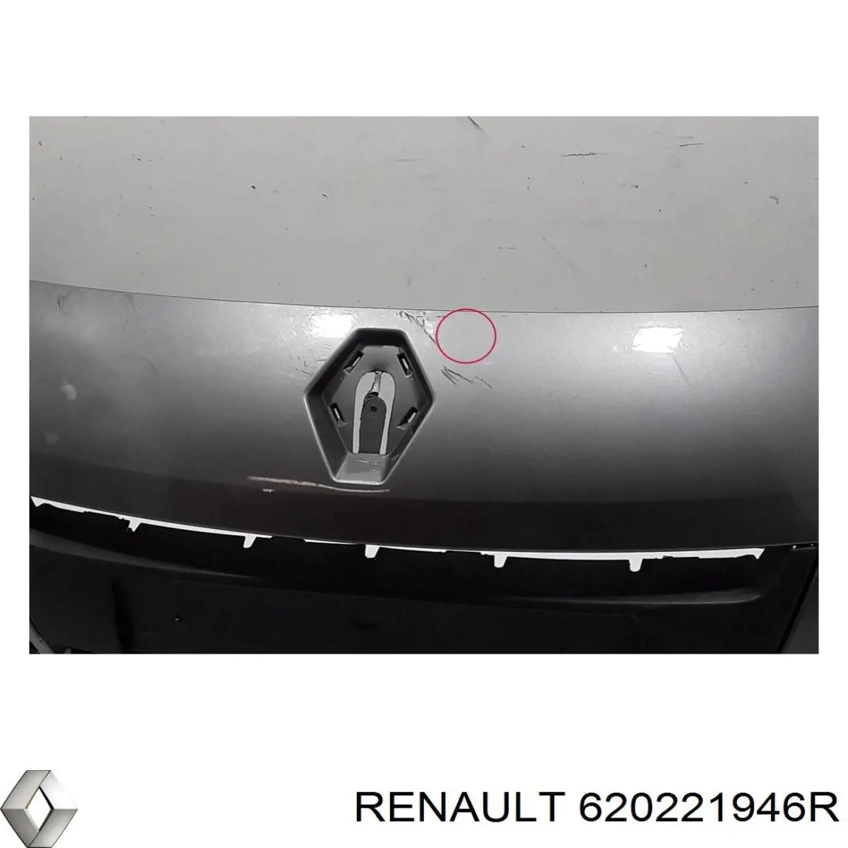  Renault (RVI) 620221946R