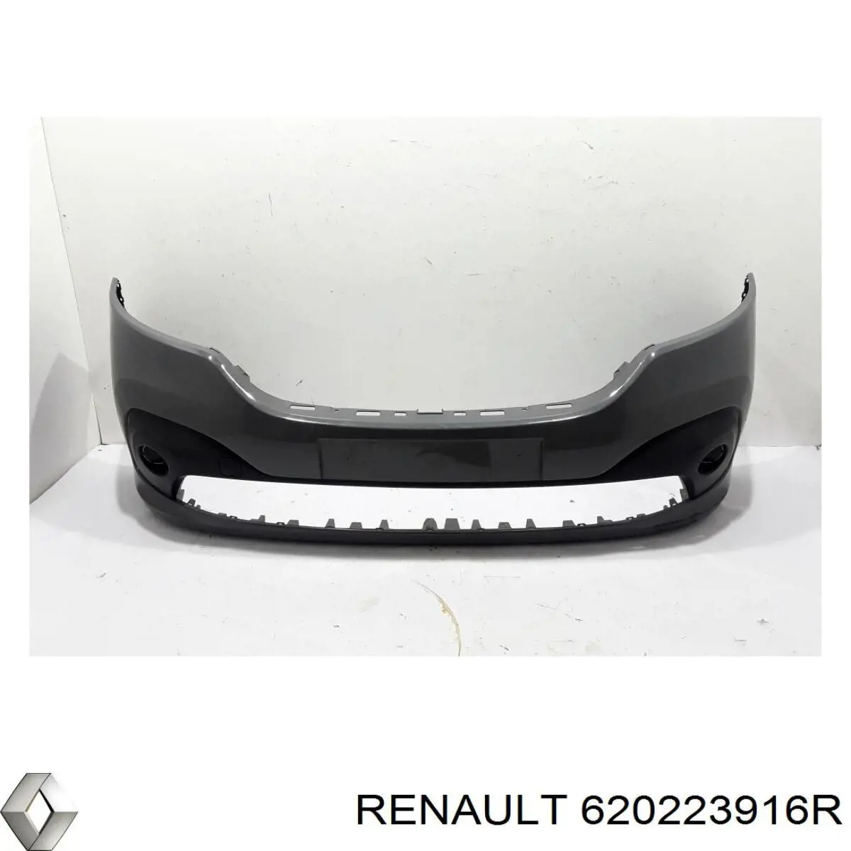  620223916R Renault (RVI)