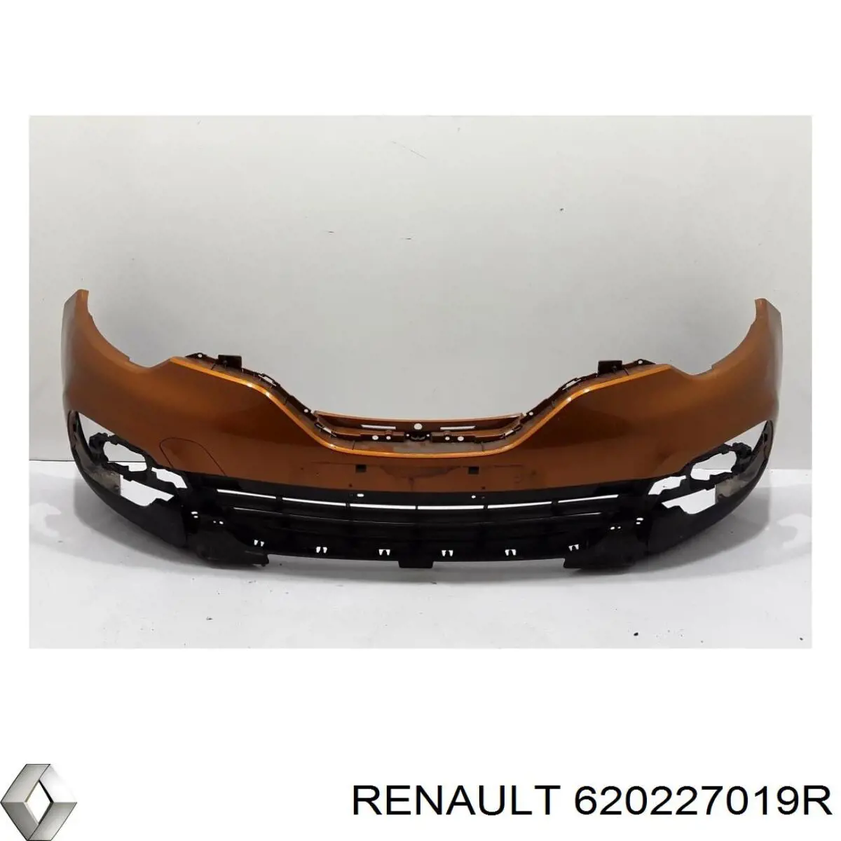  620227019R Renault (RVI)